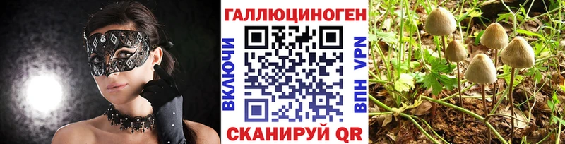 Галлюциногенные грибы мицелий  Купить  Кондопога 